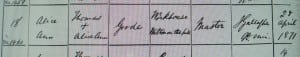 1871: Alice Ann's baptism. Her father Thomas describes himself as Master of the Workhouse.